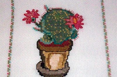 Cuadro de cactus en flor en punto de cruz