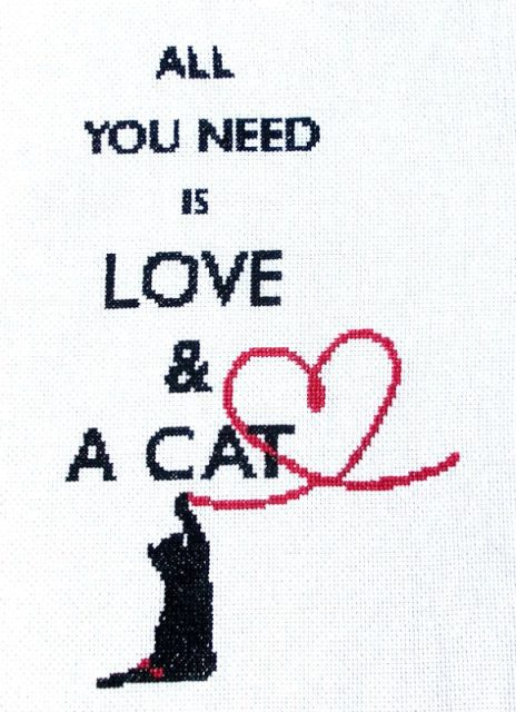 Todo lo que necesitas…. y un Gato